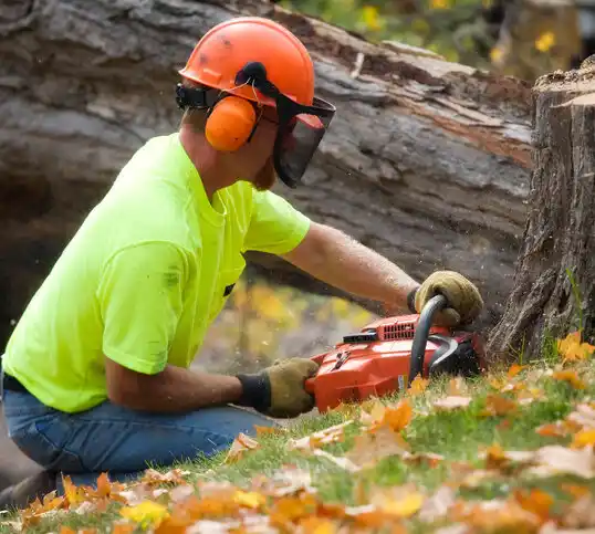 tree services Pheasant Run